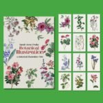 Sarah Anne Drake – 12 Iconic Botanical Illustration Art Prints Set | Vintage Floral Wall Decor Collection in Elegant Envelope | A4 Botanical Artwork Series