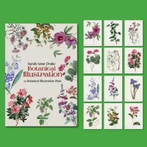 Sarah Anne Drake – 12 Iconic Botanical Illustration Art Prints Set | Vintage Floral Wall Decor Collection in Elegant Envelope | A4 Botanical Artwork Series